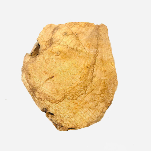 Насыщенный пенек дерева пало санто №20 (645 гр)