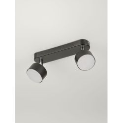 Светильник настенно-потолочный спот Rivoli Alesta 7079-702 2хGX53 15 Вт поворотный | Rivoli