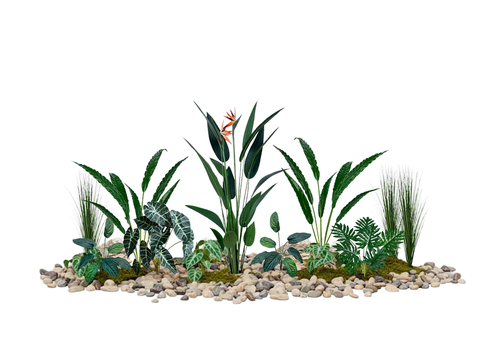 Напольная композиция в стиле тропики с кустами стрелиции высотой 150 см, длина 1,8–2 м