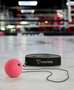 Мяч боевой INSANE IN24-FB102 на резинке