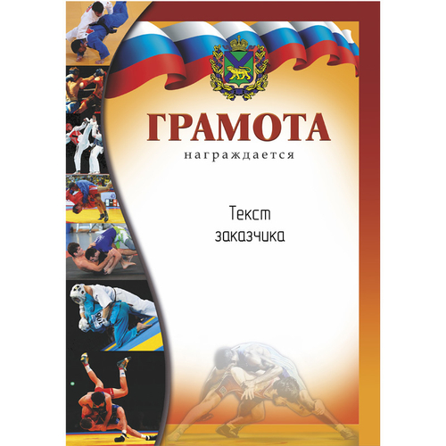 PNDiploma-003 с текстом