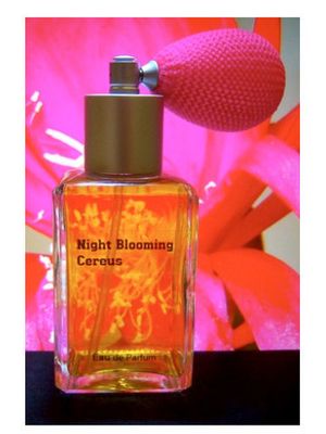 Paragon Perfumes Night Blooming Cereus