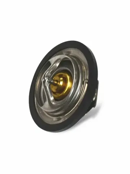 Термостат ТС-118 t-80 ГАЗ-3303 с дв. УМЗ-4216 ТС-118-1306100-01