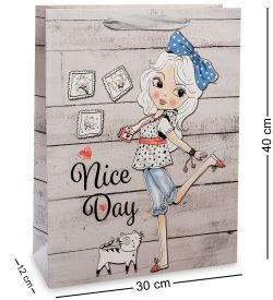 Z-20-3 Пакет большой