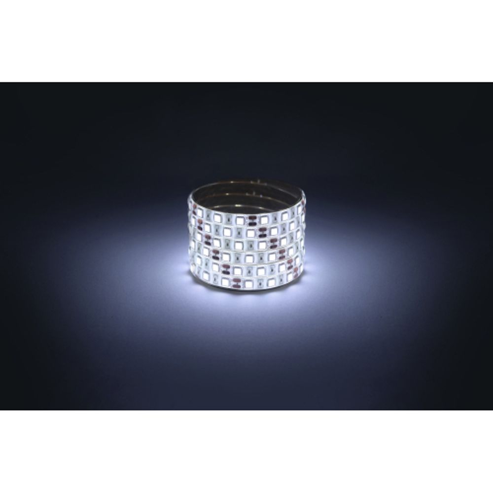 Светодиодная лента ЭРА LS5050-14,4-60-12-6500K-IP65 1 year-5m холодный белый 1 год | Светодиодные ленты 12В 1 год