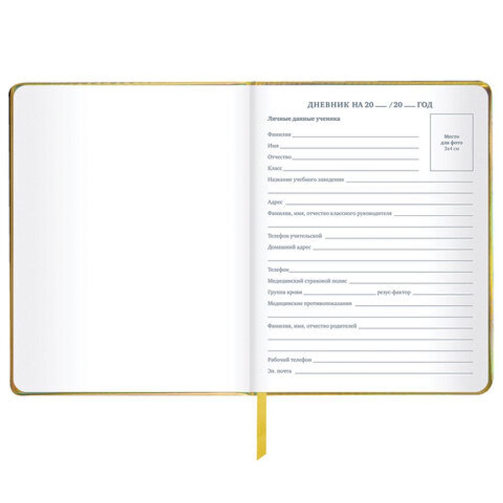 Дневник 1-11 класс 48 л., кожзам (твердая с поролоном), фольга, BRAUBERG HOLIDAY, "Музыка", 106914