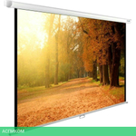 Проекционный экран Cactus WallExpert (CS-PSWE-200x125-WT)
