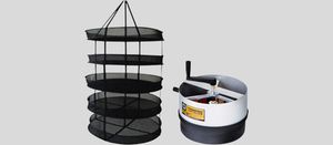 Сбор урожая