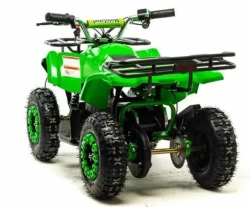 Электроквадроцикл Motoland ATV E009 1000W