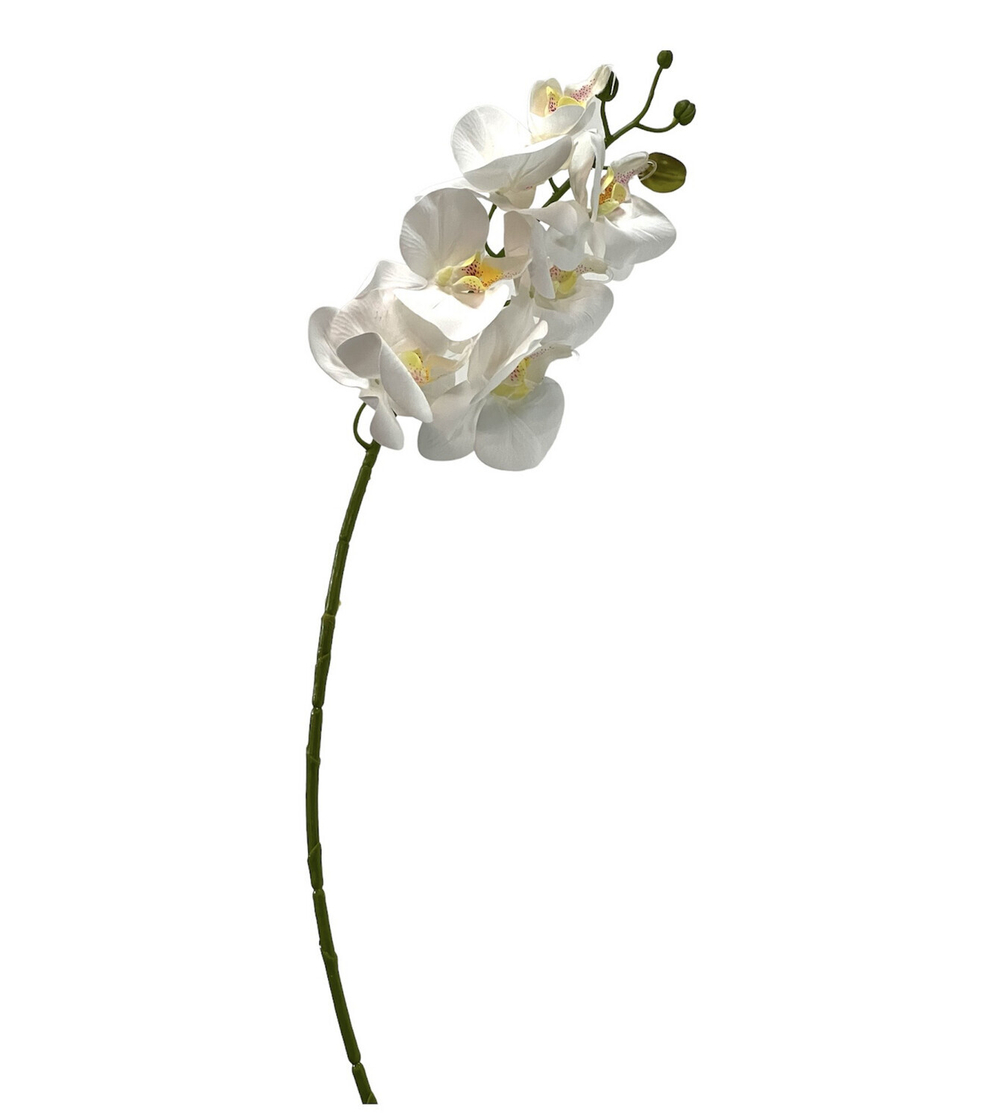 Орхидея ветка 50 см
