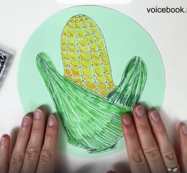 Рисуем початок кукурузы