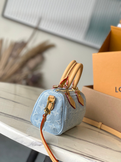 Louis Vuitton Nano Speedy