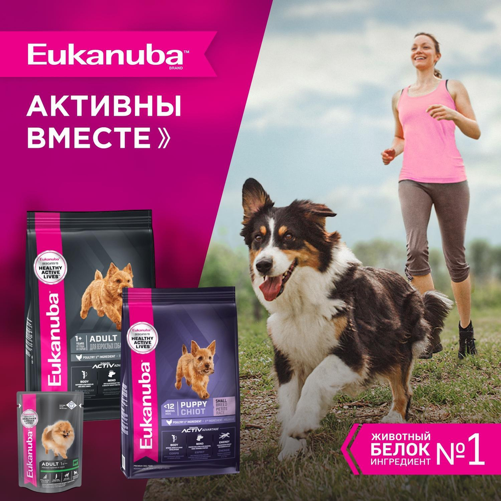Сухой корм Eukanuba Adult Small Breed 1+ years для взрослых собак мелких пород с курицей 3 кг