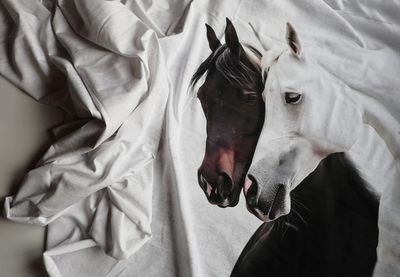 ДВА КОНЯ - Кулирка с лайкрой, компакт пенье (ДЖ66 Маша) (к2 пятнышки непрокраса, полочка задета)