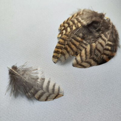 Перья вальдшнепа светло-коричневые 5-8 см. 10 шт.