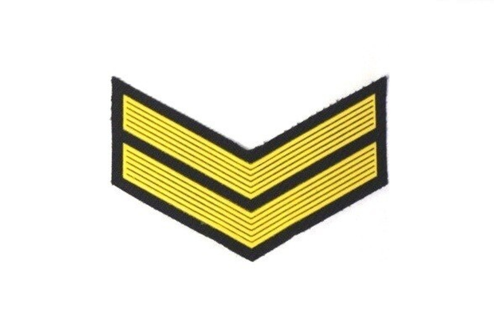 Курсовка пластизол. 2 курс