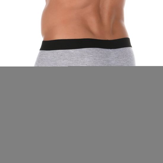 Набор мужских трусов боксеров 3в1 серые DARKZONE DZN3333GR