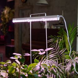 ULI-P12-10W-SPLE IP40 WHITE Светильник для растений светодиодный линейный. 560мм. выкл. на корпусе. Спектр для фотосинтеза. TM Uniel