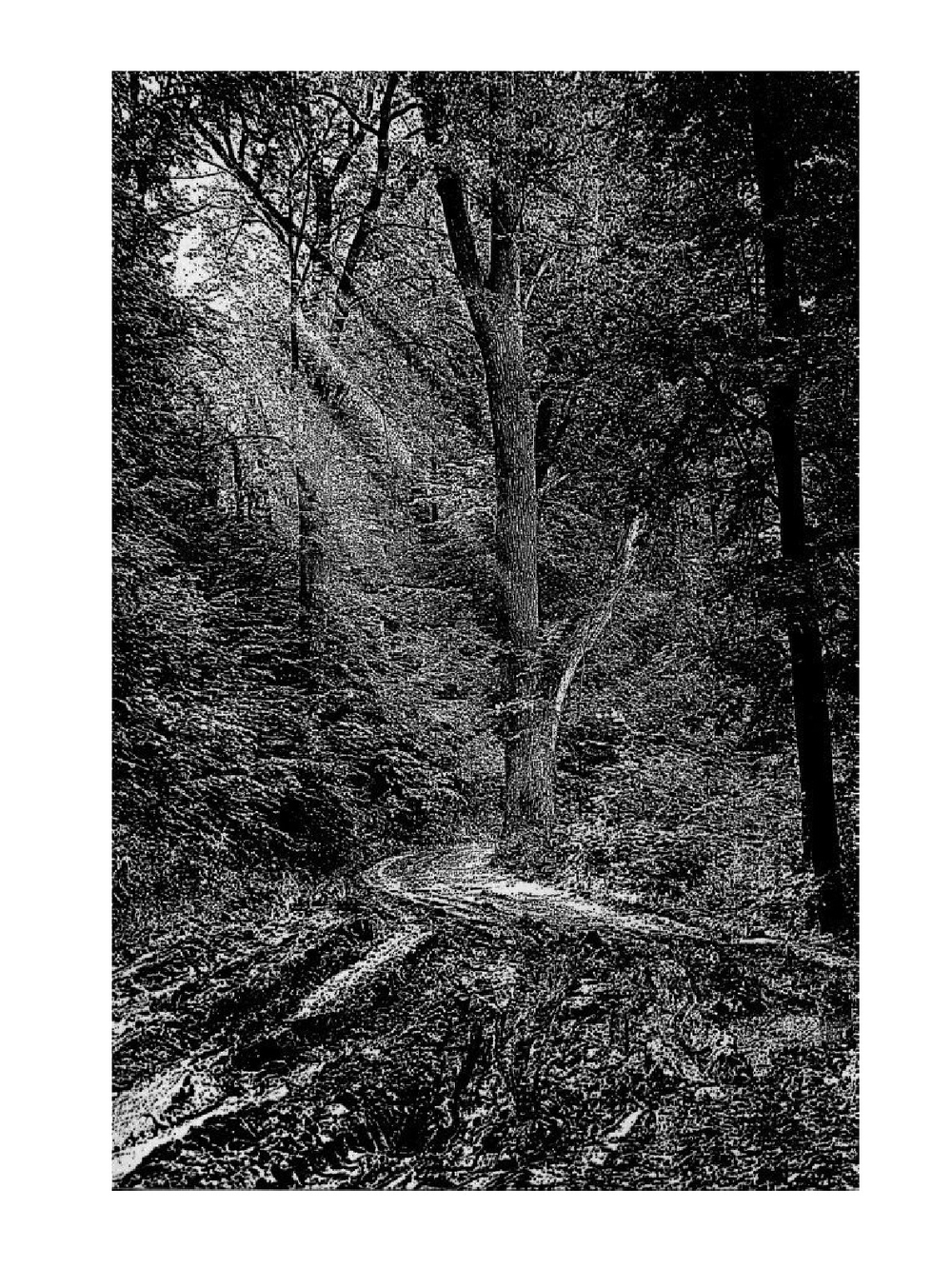 Поэтика фотографии | О.И. Михалкович; В.Т.Стигнеев