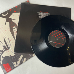 Винтажная виниловая пластинка LP Bad Religion The Empire Strikes First (США 2004)