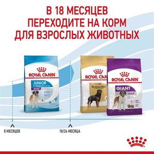 Корм для щенков очень крупных размеров с 8 месяцев, Royal Canin Giant Junior