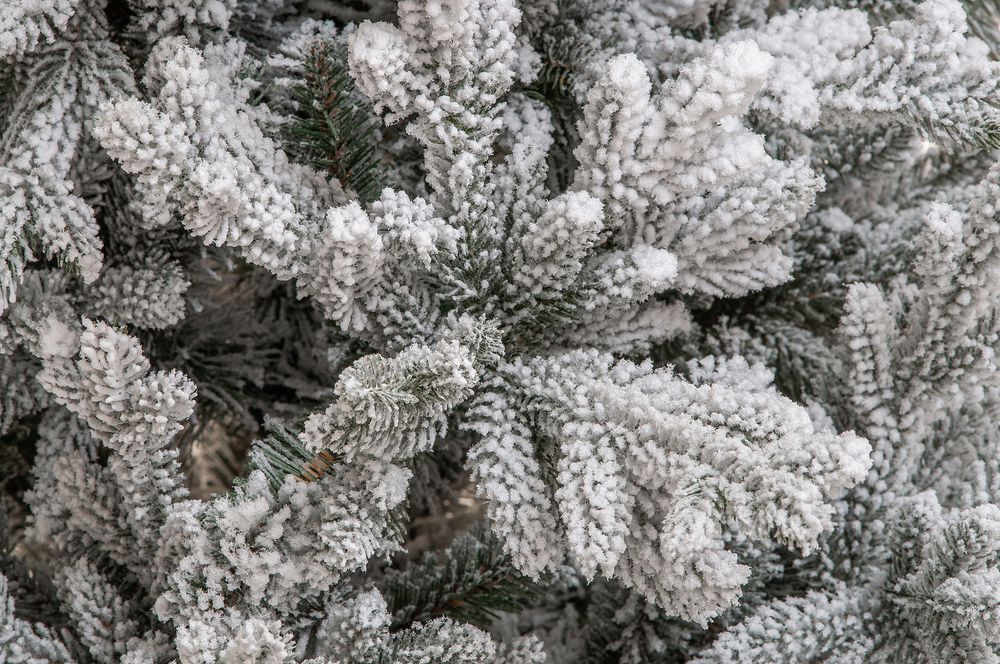 Заснеженная елка «Имперская» (Литая+пвх) от 1.8 м до 2,4 м