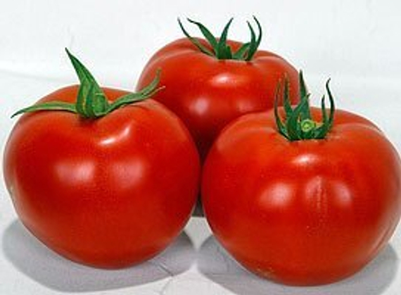 Волверин F1 семена томата детерминантного (Syngenta / ALEXAGRO) культура – фото 4