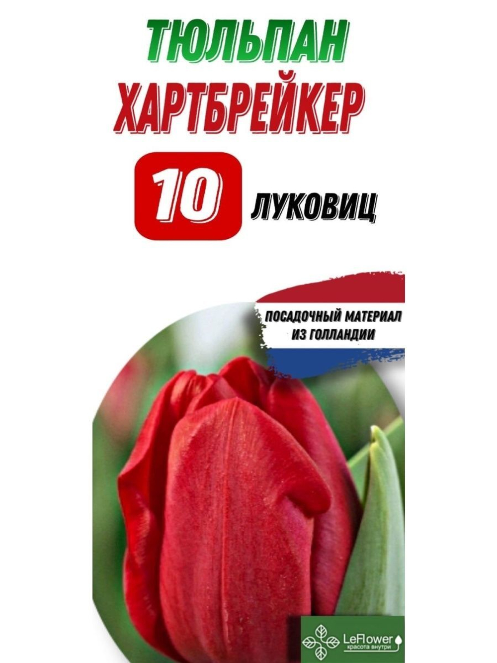Тюльпан Луковица, Хартбрейкер, 10шт