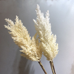 Пампасная трава 90 см, белая
