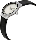 Женские наручные часы Skagen SKW2668