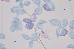 Постельное белье СайлиД B-503 сатин