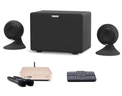 Караоке система Evobox Classic с микрофонами + Акустическая система EvoSound Sphere