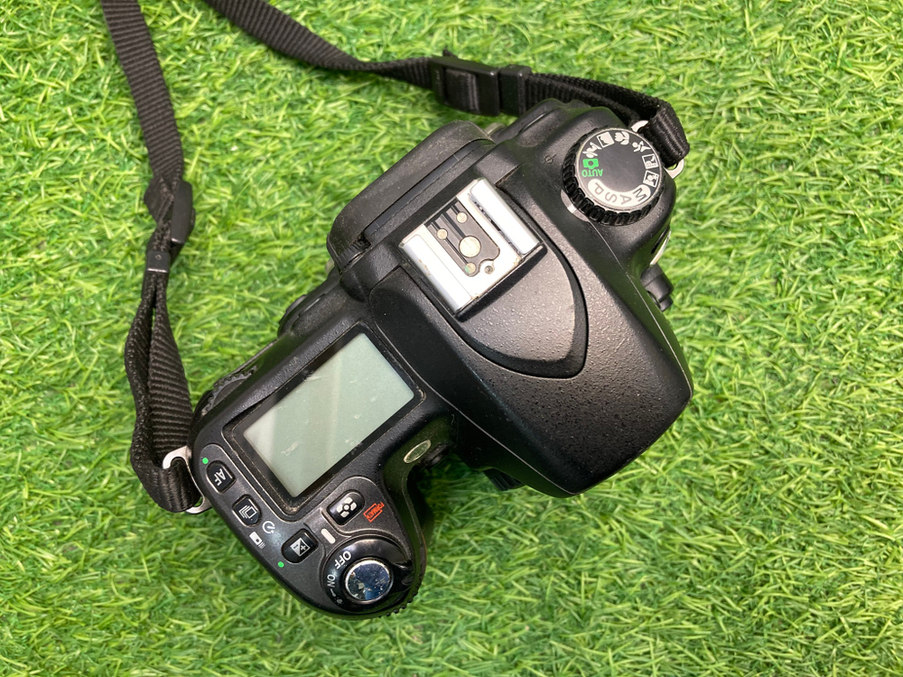 Nikon D80
