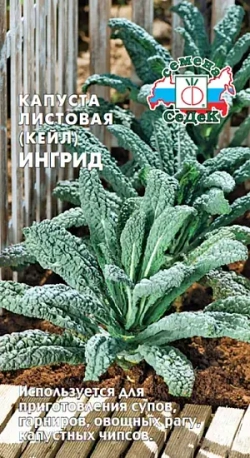 Капуста листовая_Кале (съедобная)_