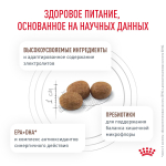 Royal Canin Gastrointestinal Корм сухой для взрослых собак при расстройствах пищеварения 2 кг