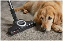 Пылесос Miele Compact C2 Cat & Dog SDBF5