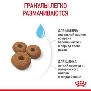 Корм для щенков крупных пород до 2-х месяцев и беременных сук, Royal Canin Maxi Starter Mother & Babydog