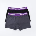 Трусы Anteater Boxers (black-grey)