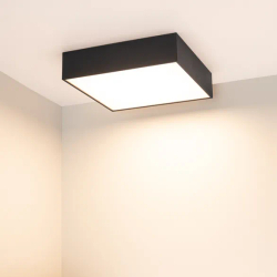 Светильник IM-QUADRO-EMERGENCY-3H-S250x250-28W Day4000 (BK, 120 deg, 230V) (Arlight, IP40 Металл, 2 года) 041007