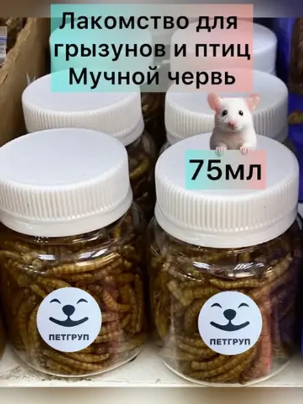 Мучной червь 75мл