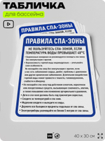 Табличка для бассейна "Правила спа-зоны", на пляж, для общественной и частной зоны отдыха, информационная, 40х30 см, Silver Plane x Айдентика Технолоджи