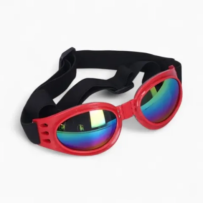 Очки «Cool Rider»