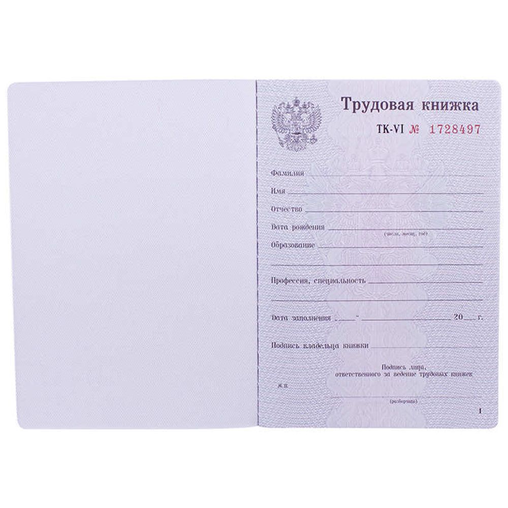 Бланк Трудовая книжка РФ