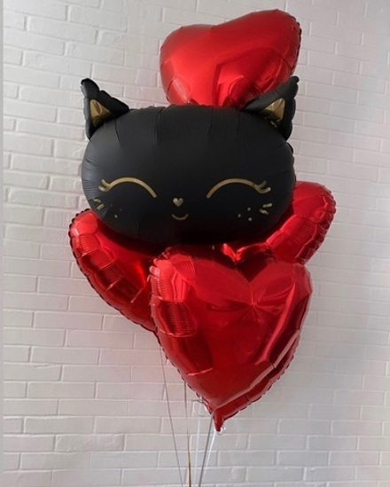 Кошечка Набор шаров