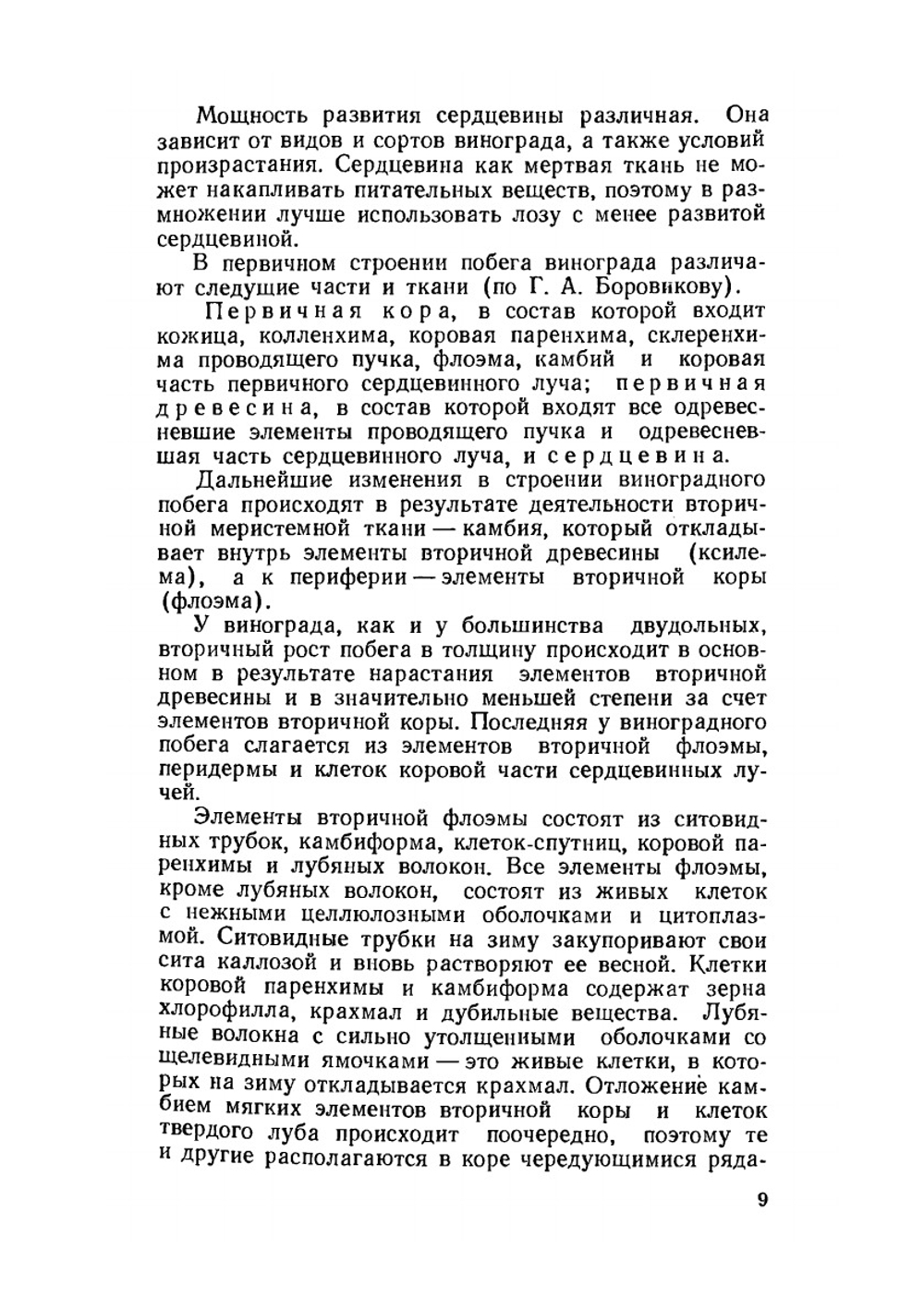 Виноградный питомник | А.Г. Мишуренко