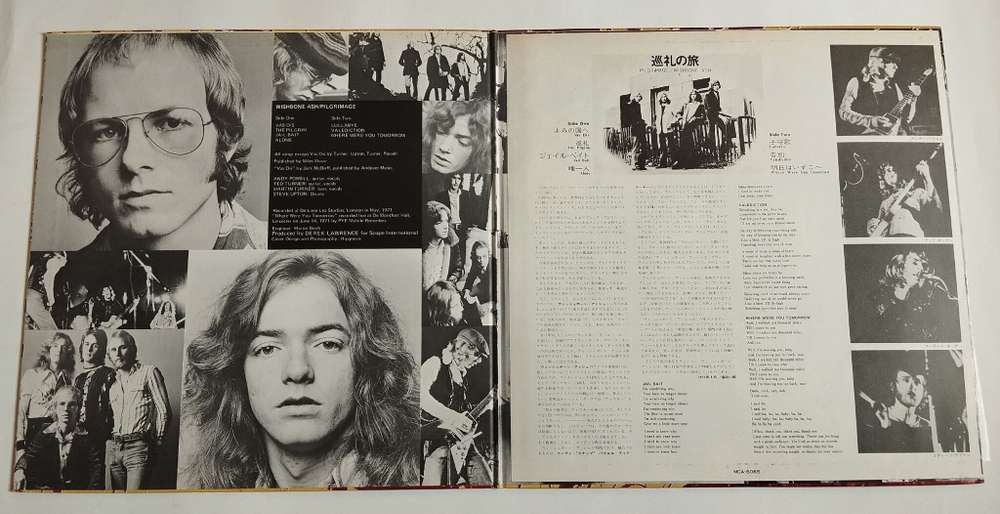 Винтажная виниловая пластинка LP Wishbone Ash Pilgrimage (Japan 1976) (No Obi)