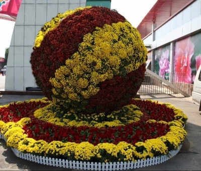 Топиарная фигура Шар