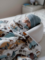 Двусторонний плед Mjölk Dinoworld, уценка