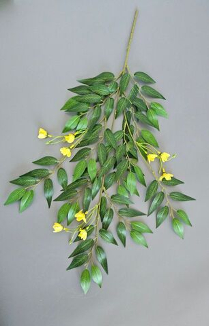 Рускус цветущий / Арт 1224