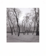Литовская фотография
